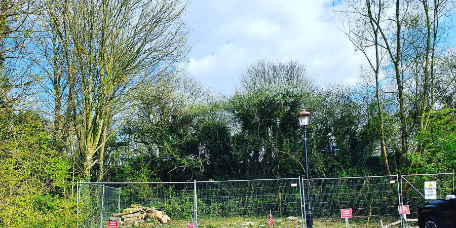 hedge trimming