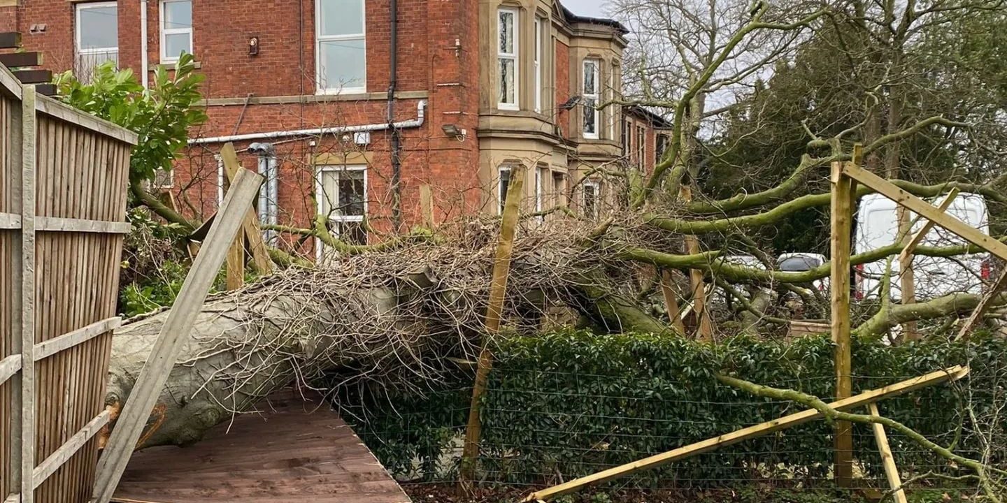 tree-removal-lostock-grove-care-home-1 tree removal