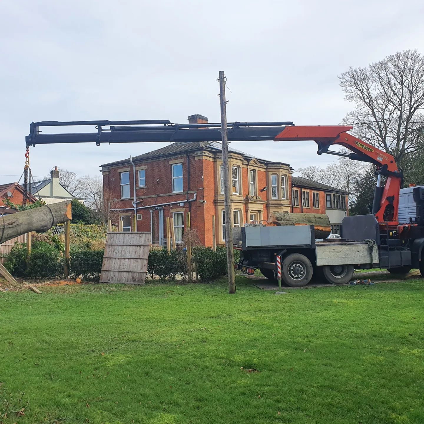 Tree Removal at Lostock Grove Care Home Tree Care Extraordinaire