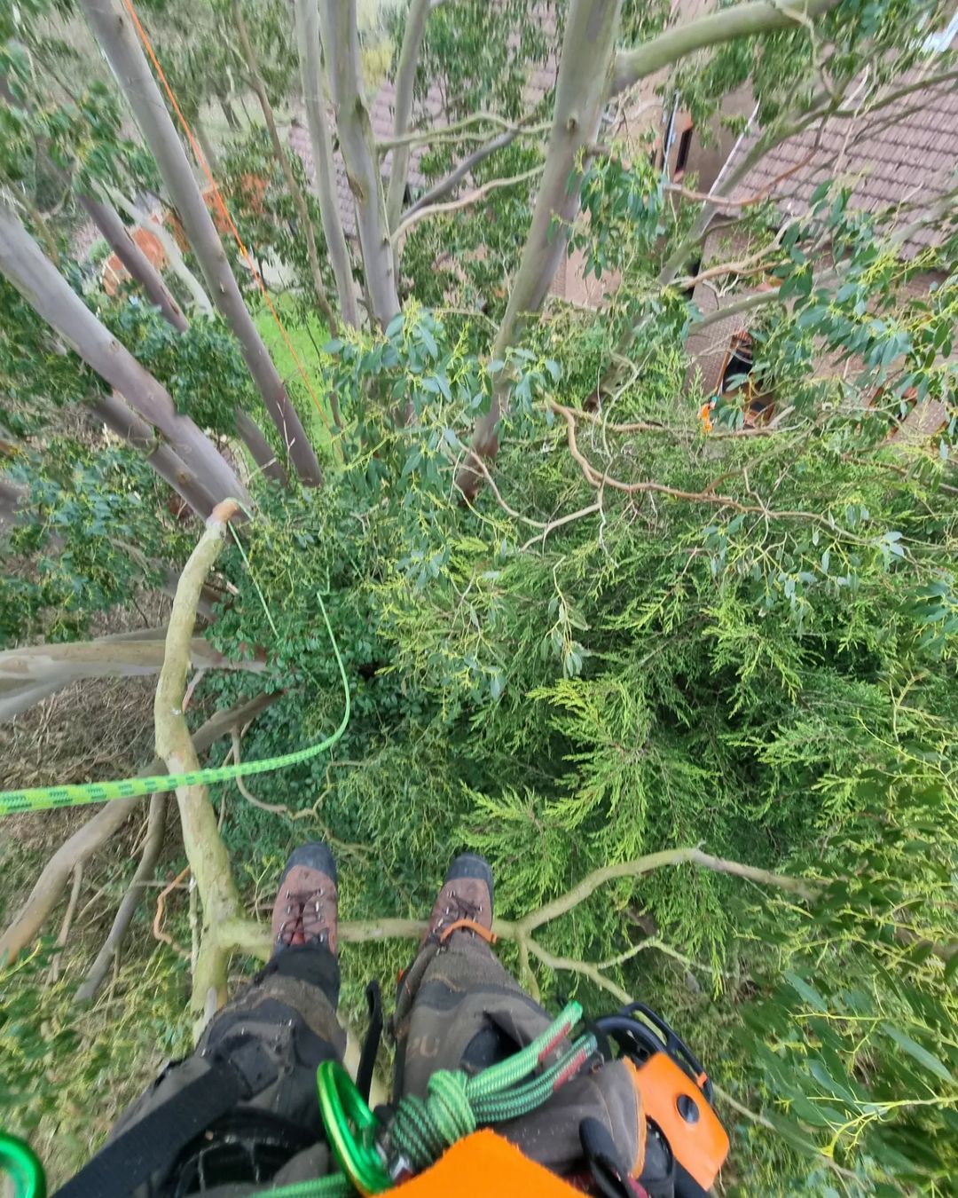 Tree reduction