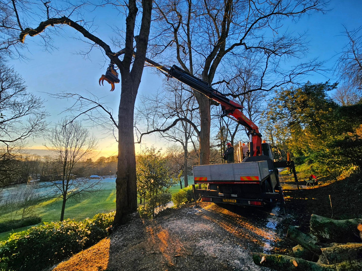 Commercial tree surgery at Avenham Park in Preston.