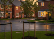 Newly planted trees on a new build housing estate.