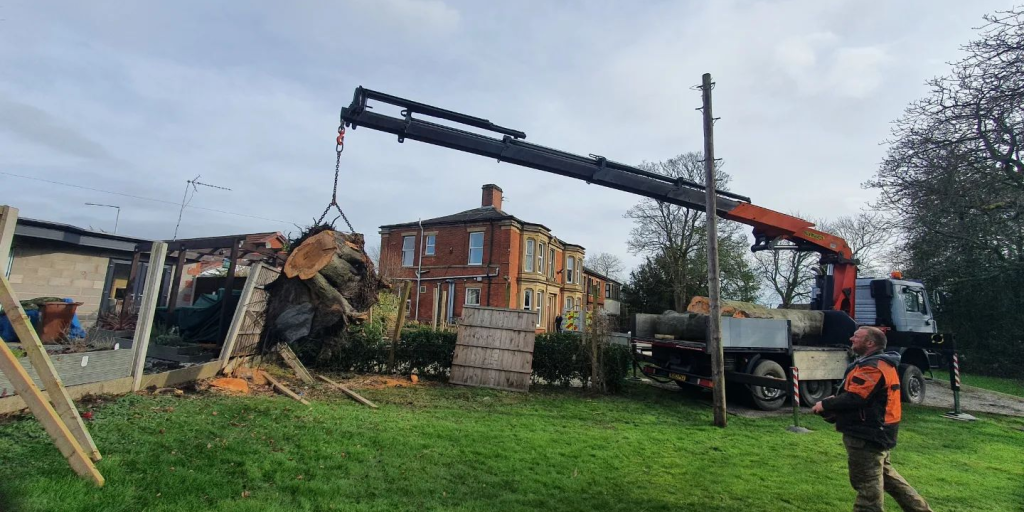 Tree stump being removed from garden with crane.