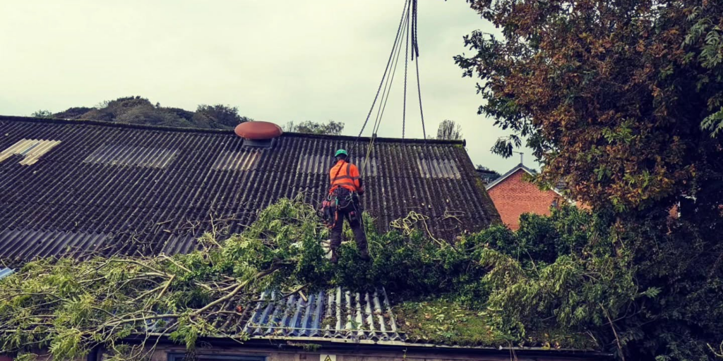 Tree surgeon hoisted above roof clearing tree.
