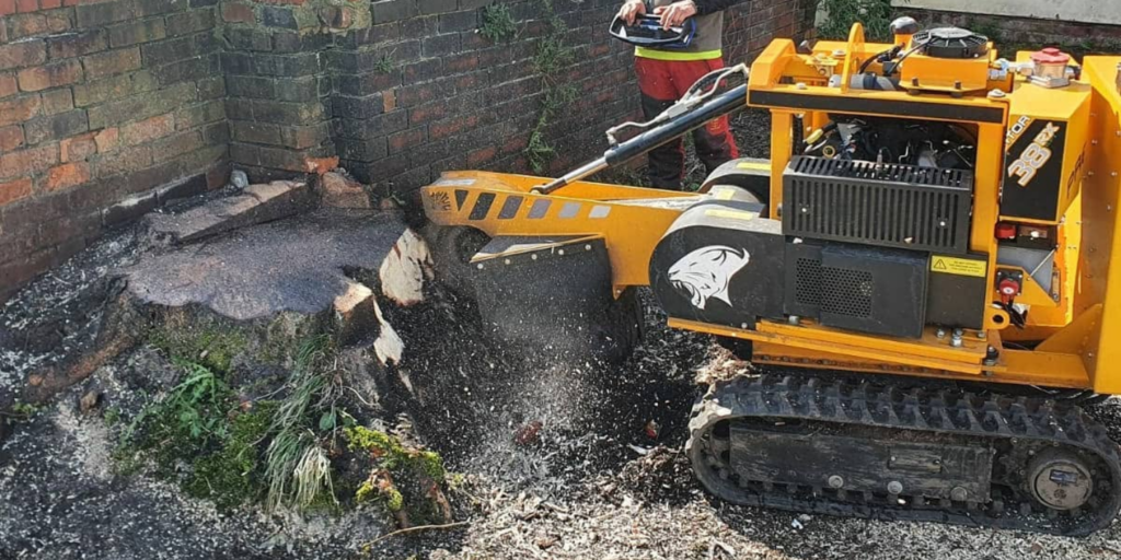 Stump grinding roots next to residential brickwork.