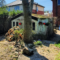 Tree roots growing through paving in residential garden.