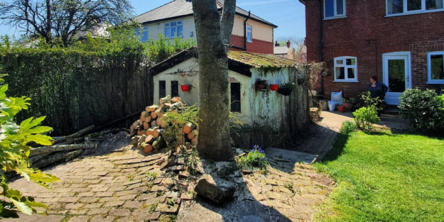 Tree roots growing through paving in residential garden.