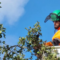 Harry in cherry picker examining top of tree.
