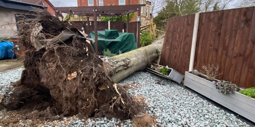 Tree fallen onto residential fencing damage.