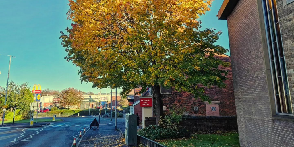 View of high street with tree overhanging public footpath.
