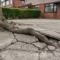 Tree root breaking through residents front driveway in Lancashire.