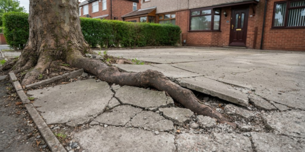 Tree root breaking through residents front driveway in Lancashire.