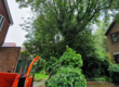 Large tree overhanging across the boundary line between two houses with heavy ivy growing across fence line.